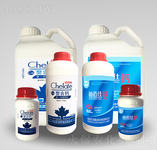 �����}-�����ʘI(y��)