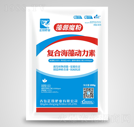 �ͺϺ��������-�����ʘI(y��)