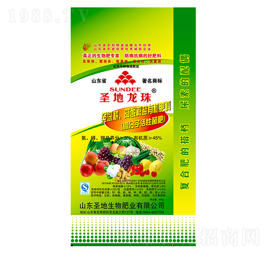 �߷��ӻ��Ծ���-ʥ������-ʥ��