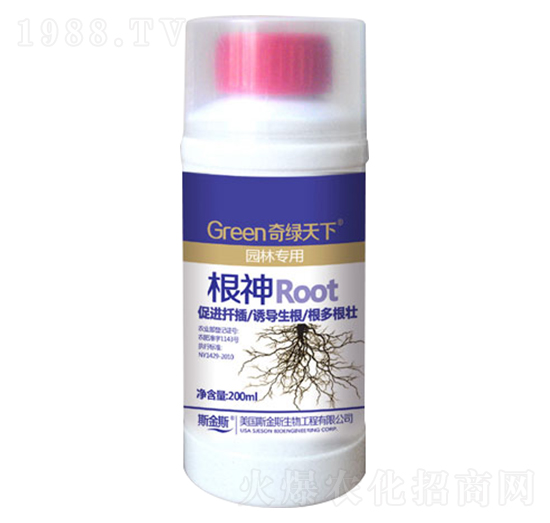 ����-��G����-�и�����