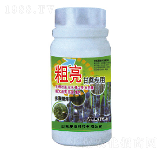 �������ጣ��-�и�����