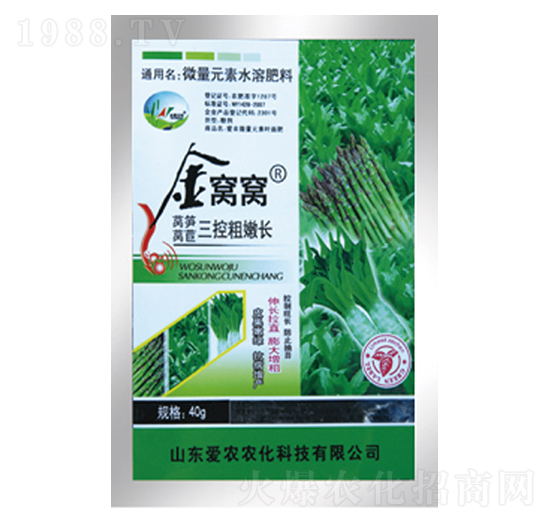 �n�S�n�����ش����L-��C�C-�и�����