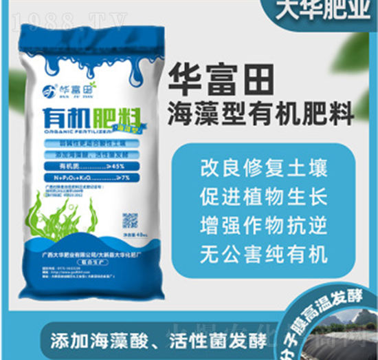 �������ЙC����-�A����-���A�ʘI(y��)