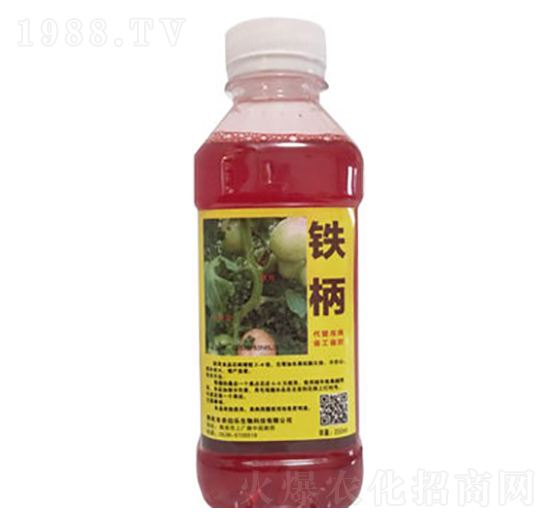 �F��-�r(n��ng)����(l��)