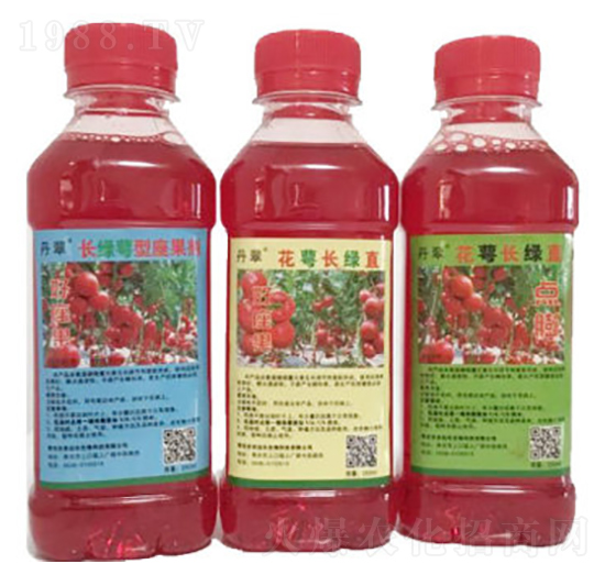 �����L�Gֱ-�r(n��ng)����