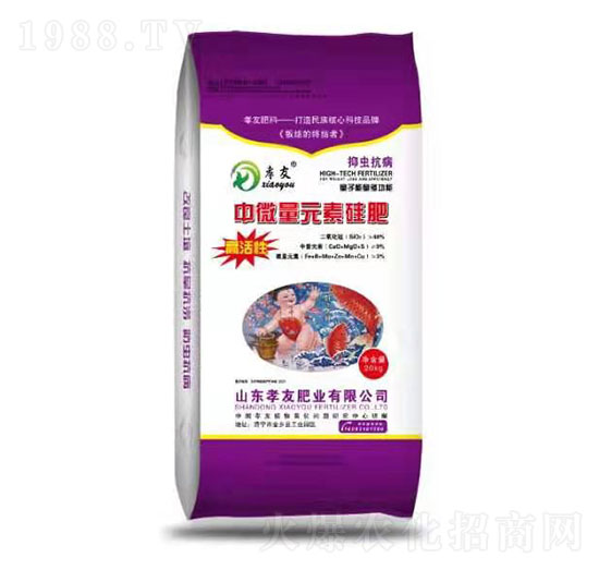 ��΢��Ԫ�ع��-Т��