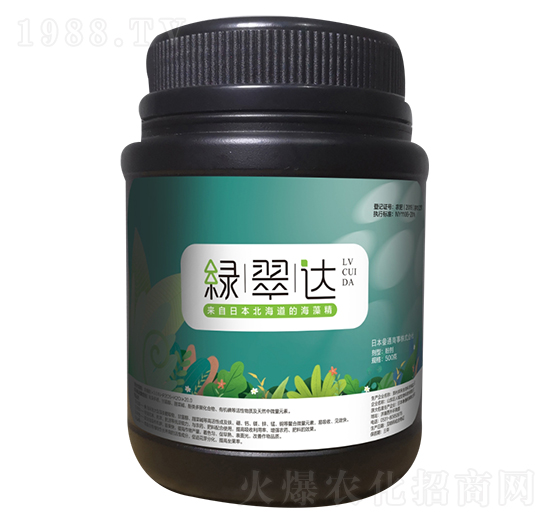 ���徫-�G���_-���˳�