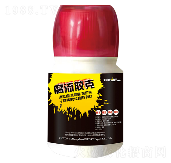 �����z��-�S������