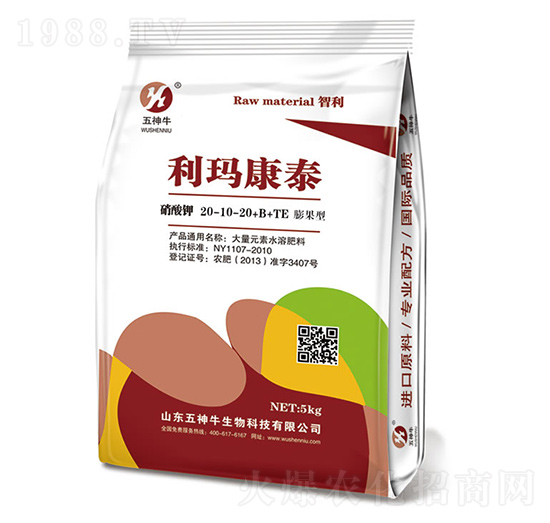 �����20-10-20+B+TE-������̩-����ţ