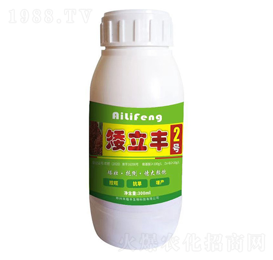 �����S2̖(h��o)-��ֲ�S