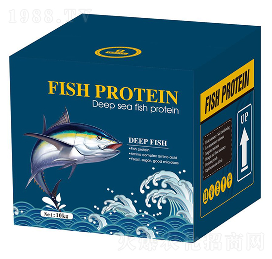 С�����~(y��)���ף��{(l��n)��-������