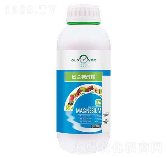 �W�m�Ǵ��V-�W�m��