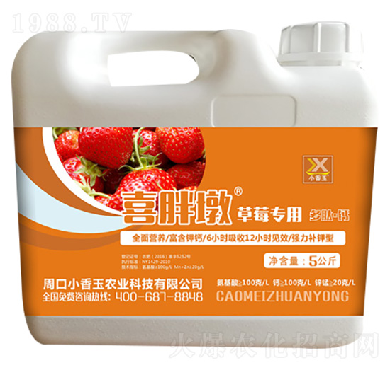 ��ݮ���ö��ġ��}-ϲ�ֶ�-С����