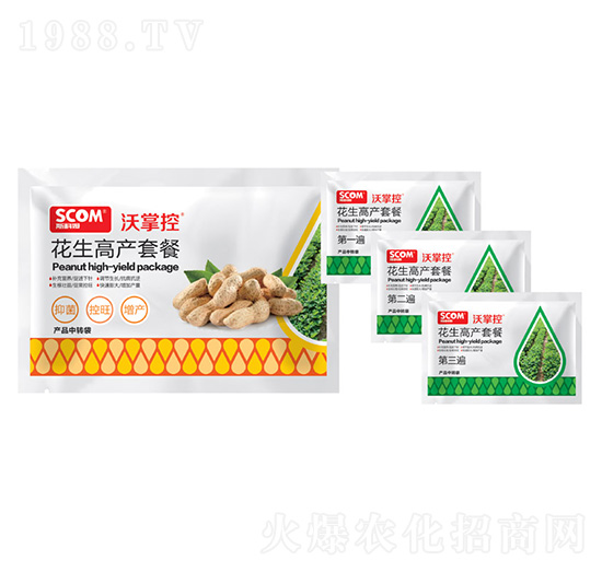 �����߮a�ײ�-���ƿ�-˹��ķ