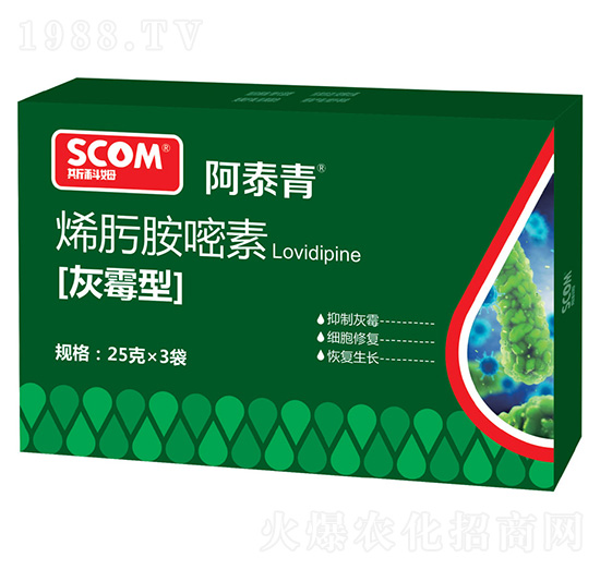 ��ù��ϩ뿰�����-��̩��-˹��ķ