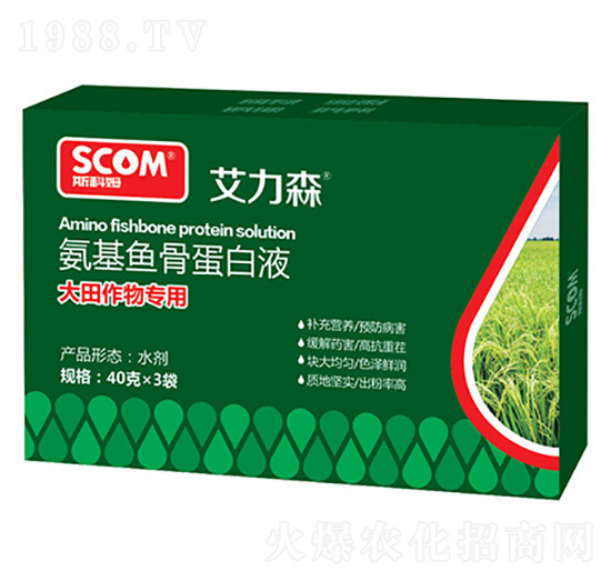 �������(zhu��n)�ð����~(y��)�ǵ���Һ-����ɭ-˹��ķ