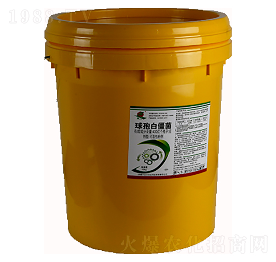 400�|������ÿ�����߰׽���-���r����