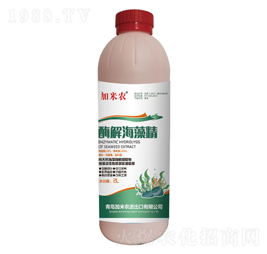 ø�⺣�徫-�����r