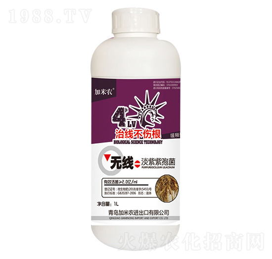 �������߾�-�����r