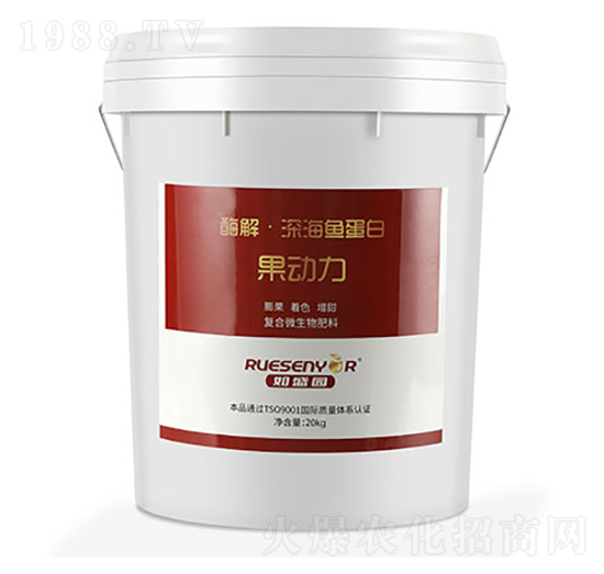 ø����~����-������-����������