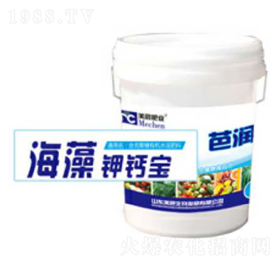 ������}��-�ŝ�-�\������