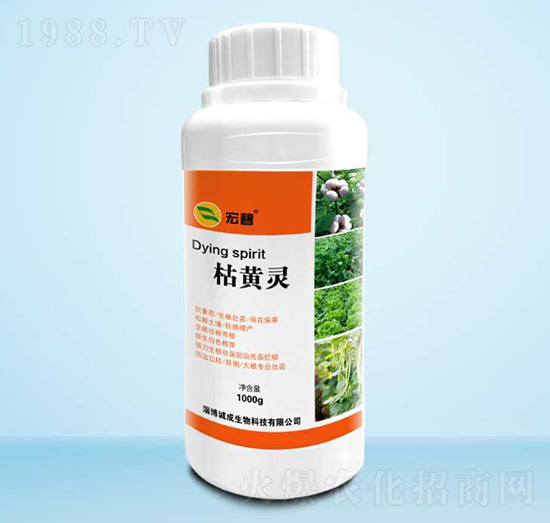 ���S�`-���-�\(ch��ng)������