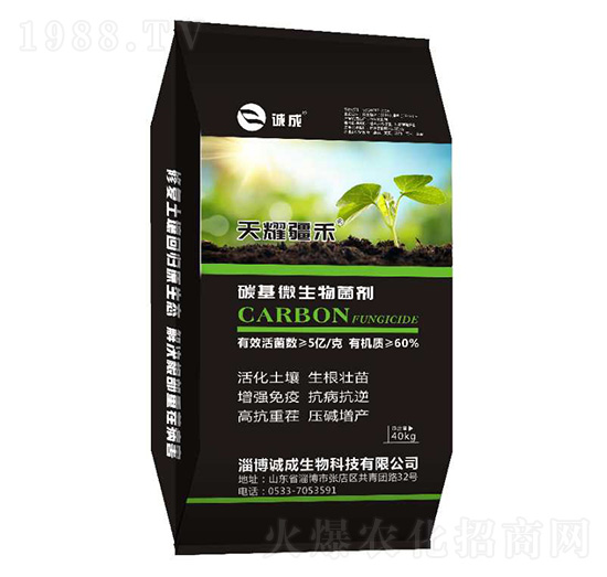 ̼��΢�������-��ҫ����-�\������