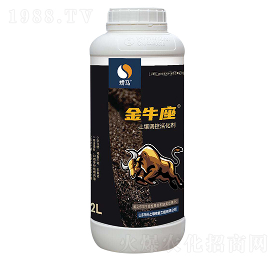 2L�����{�ػ��-��ţ��-�C�R����