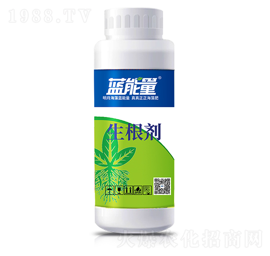 ƿ�b������-�{����