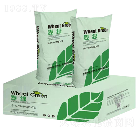 �M��ˮ���ԏͺϷ���19-19-19+1MgO+TE-���G-����r(n��ng)�I(y��)