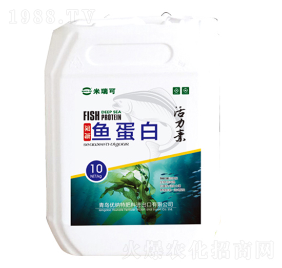 ø���~����-�����-����r(n��ng)�I(y��)