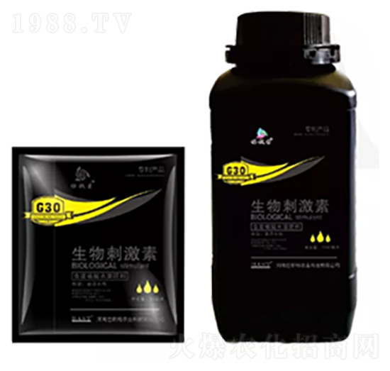 ����̼���-�u�X(qi��n)������