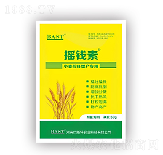 С���������a(ch��n)����-�u�X������