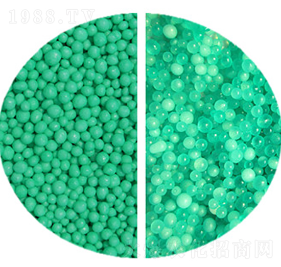 �������أ��Gɫ��-������