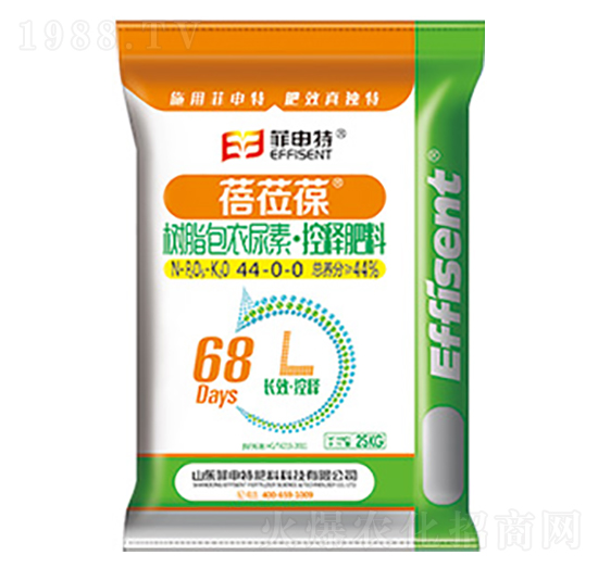 ��֬��Ĥ���ؿ�ጷ���44-0-0-���W��-������