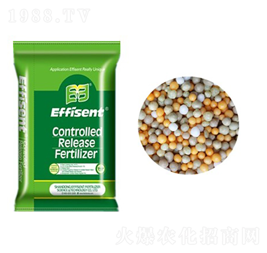 ȫ�ؿ�ጷ�-������