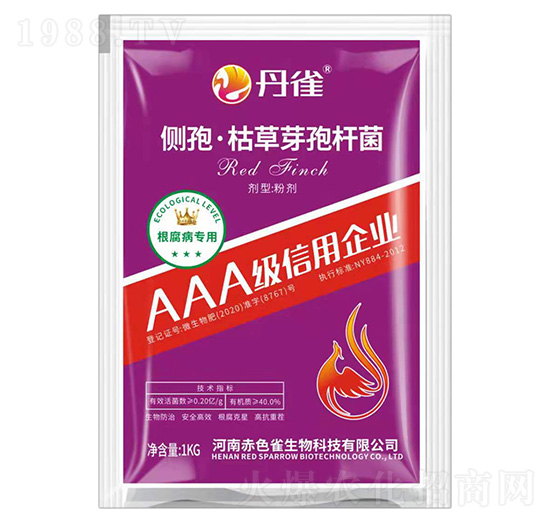 ��(c��)�ߡ��ݲ�ѿ�ߗU��-��ȸ