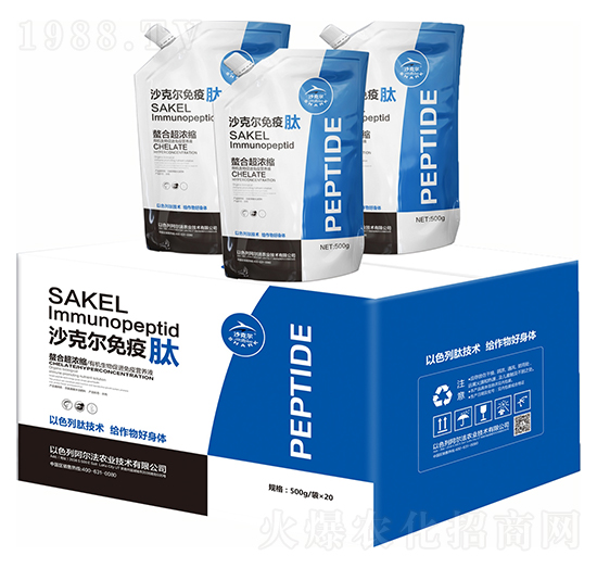 ɳ�ˠ�������-�Wِ˹