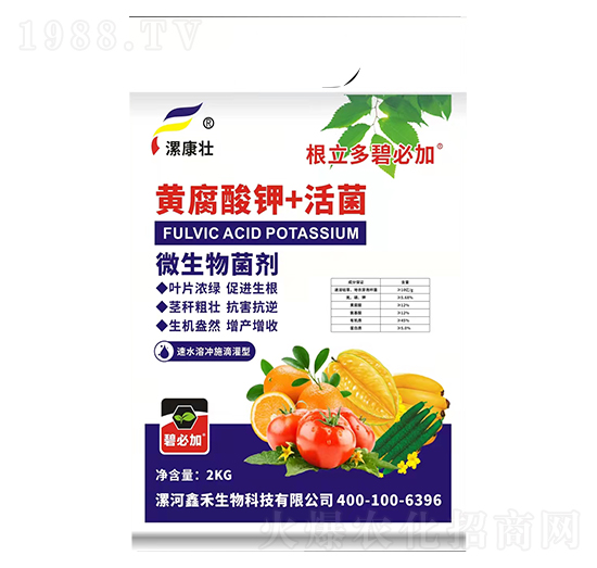 �S�����+���-΢�������-�𿵉�