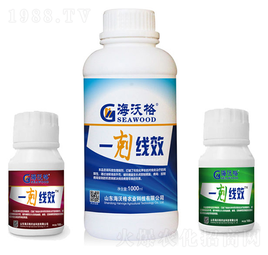 һ�w��Ч-���ָ�