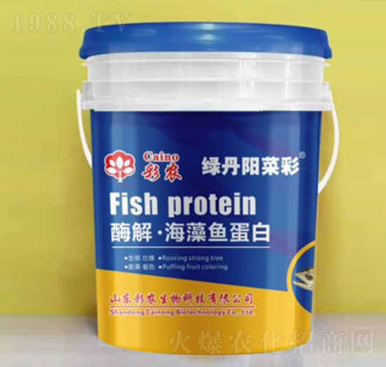 ø�⡤�����~����-�G��ꖲ˲�