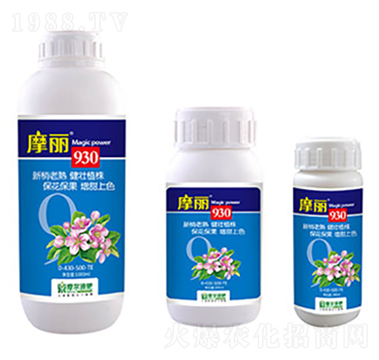 ħ��930-ħ��Һ��