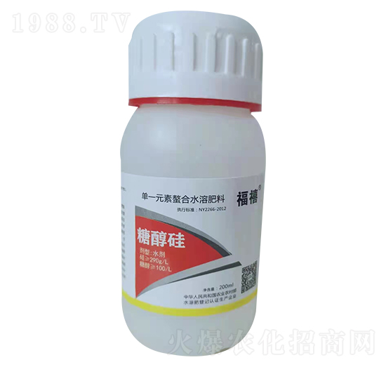 �Ǵ���-����