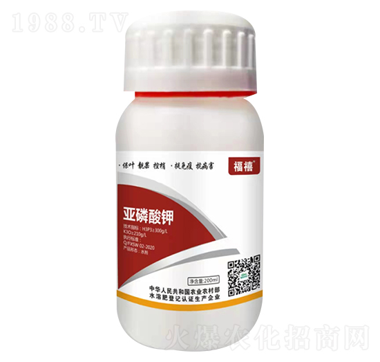 �������-����