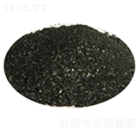 �S��ֲ���-ʢ��������