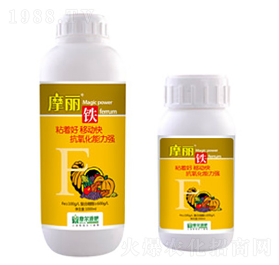 Ħ���F-ħ��Һ��