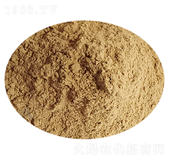 ����ѿ�ߗU��-ϣ���R����