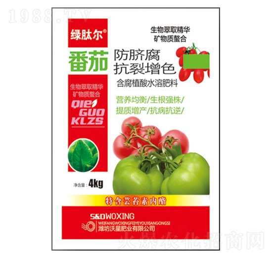 ���ѷ�Ě��������ɫ-�G�Ġ�-���ǷʘI(y��)