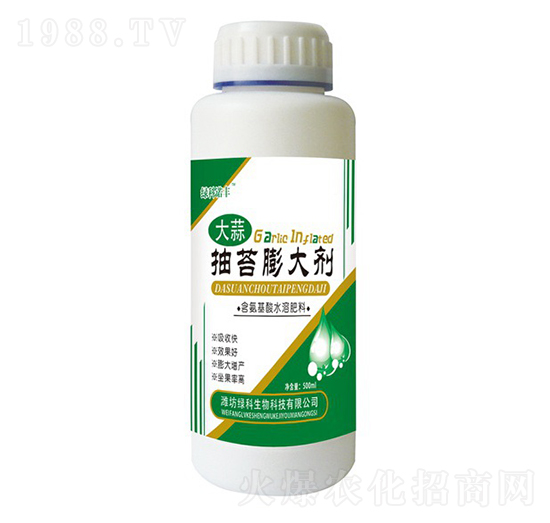 �����̦���-�G���Z�S-�G������