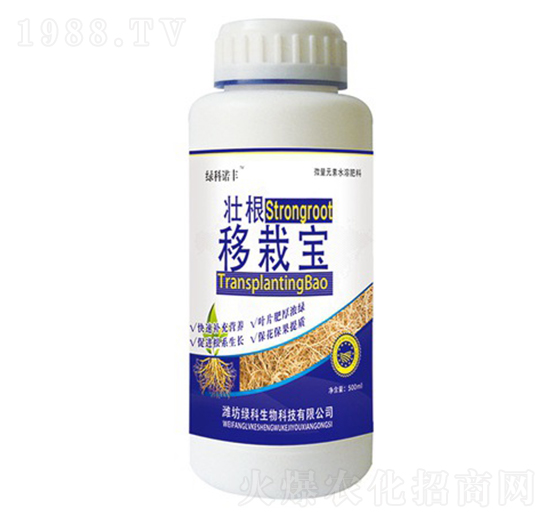 �Ѹ����Ԍ�-�G���Z�S-�G������